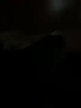 PassionCoupleLove online show from October 26, 1:06 pm