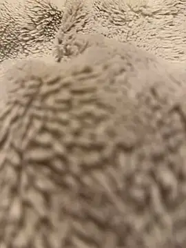 Jackoff2345 online show from February 18, 5:25 am