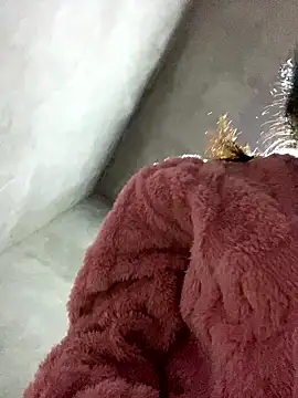 Yunzang online show from January 16, 12:25 am