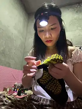 Yunzang online show from February 28, 1:01 pm