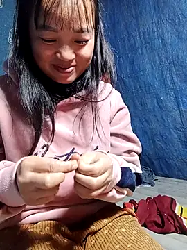 Noelle-e online show from January 6, 12:09 pm