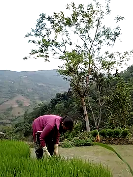 Noelle-e online show from April 11, 10:41 am