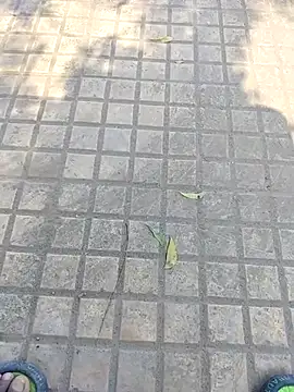 WettedGlimpse online show from December 3, 6:54 am