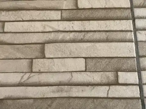  DignoDePutaria  online show from January 16, 2:43 pm