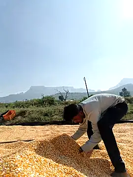 devil boy 0909 online show from November 17, 8:42 am