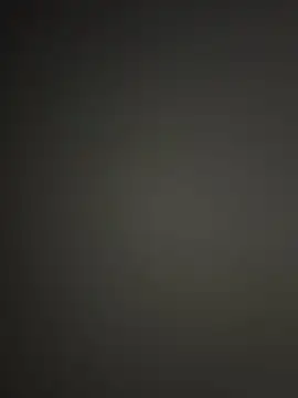 WildNour online show from November 15, 4:36 pm