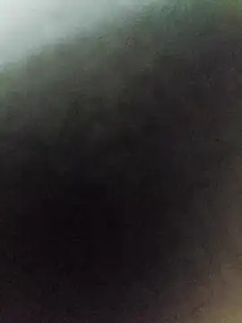 sweetsswet online show from March 8, 5:33 am