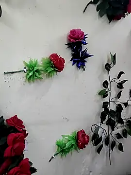 Indian-Glory online show from December 13, 7:53 pm