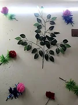 Indian-Glory online show from January 14, 8:47 pm