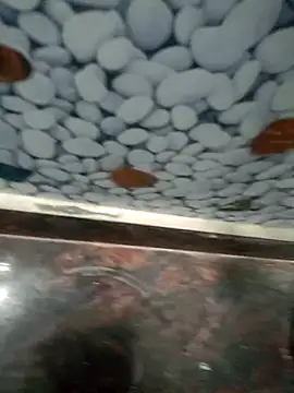 Pandey0012 online show from March 12, 11:49 am