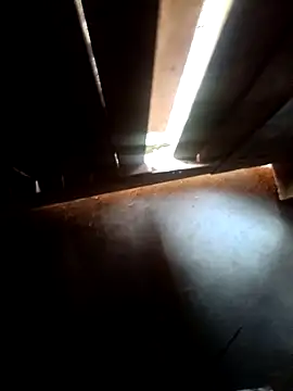 Pandey0012 online show from March 16, 12:09 pm