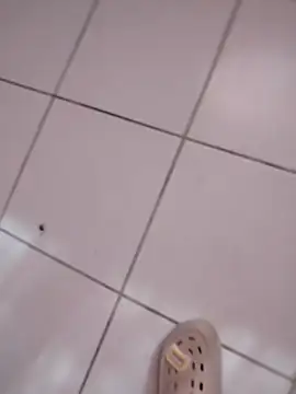 Snapshot of HomeyVending chatting on November 11, 4:18 pm HomeyVending online show from November 11, 4:18 pm