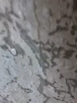 3zekie1 online show from October 28, 2:20 pm