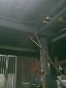 matbiec- online show from November 19, 10:32 pm