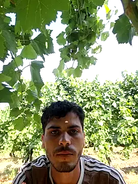 ZAminn6789 online show from August 3, 11:48 am