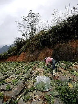 min nyny online show from November 21, 1:26 am