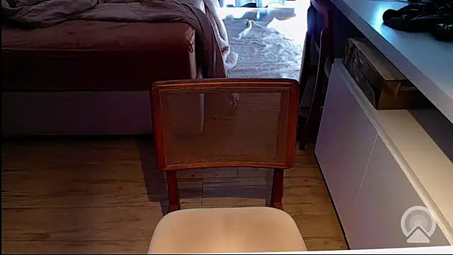 Snapshot of Professor__Discreto chatting on July 2, 4:13 pm Professor Discreto online show from July 2, 4:13 pm