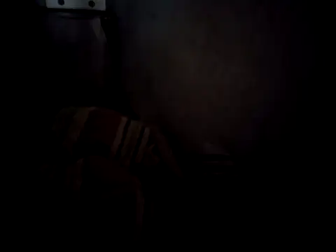 6perlas9 online show from November 3, 2:07 pm