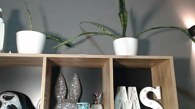 mickystrumia23 online show from January 6, 12:03 am