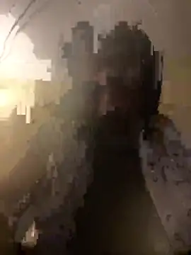 Dave 5518 online show from March 17, 11:35 am