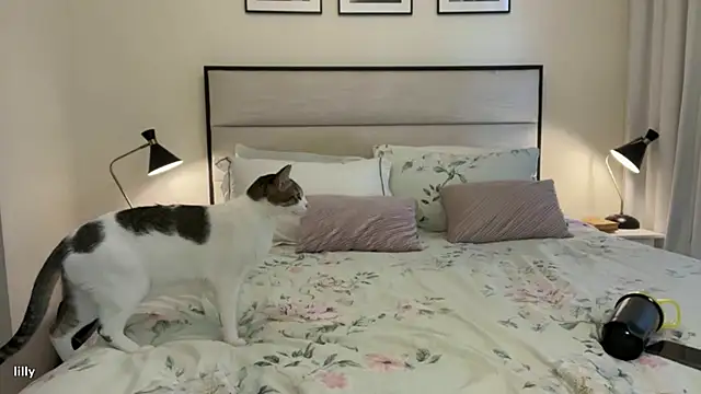 Itslillybloom online show from November 14, 4:22 am