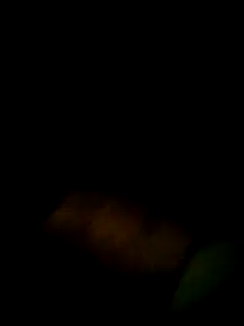 Yerackhip online show from March 9, 12:47 am