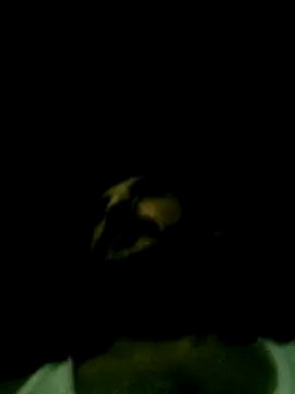 Yerackhip online show from March 24, 7:46 am