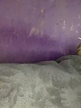 hotman29 online show from November 26, 11:06 pm