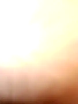 tamal2511 online show from November 21, 4:27 pm