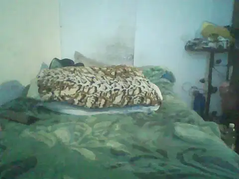 Snapshot of GuilleHotsexy chatting on November 11, 1:00 pm GuilleHotsexy online show from November 11, 1:00 pm