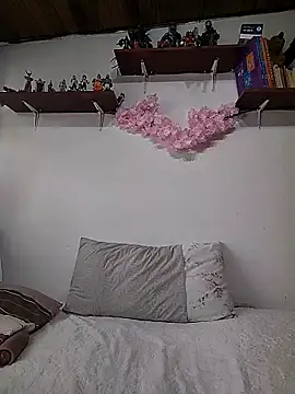 salomehill1 online show from December 17, 8:04 pm