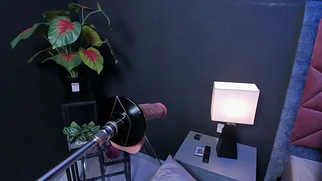 Amy whittee online show from March 27, 3:34 am