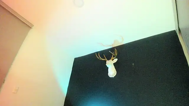 Zeus Jeff online show from February 19, 1:34 am