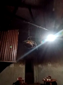 blonde blg online show from February 12, 10:38 pm