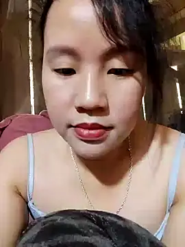 Snapshot of yelow-bee chatting on November 11, 4:34 am yelow-bee online show from November 11, 4:34 am