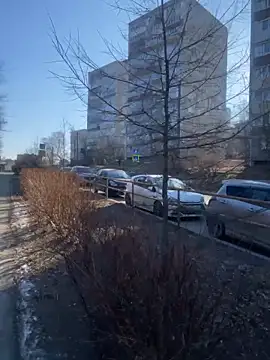 Dona Mafia online show from December 22, 1:57 am