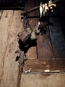 -Chua-90 online show from February 9, 11:36 am