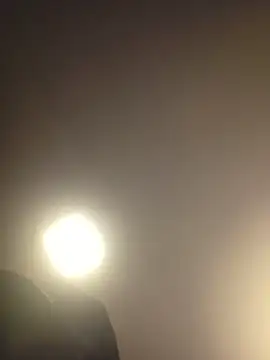 piggylatino online show from March 19, 10:19 am