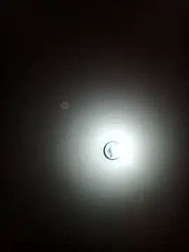  mery 23 online show from January 13, 12:32 pm