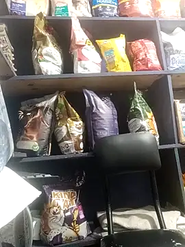 eva rushh online show from March 9, 10:58 pm