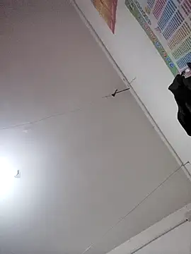 Snapshot of wang9988 chatting on December 4, 6:38 pm wang9988 online show from December 4, 6:38 pm