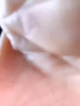 Cat-meow online show from November 25, 2:44 am