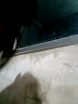 Ava-120 online show from February 17, 3:08 pm