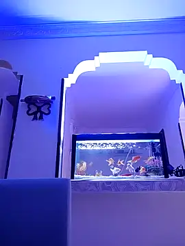 karlatasty online show from November 18, 4:11 pm