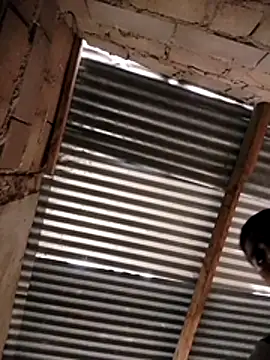 Snapshot of manumegumy chatting on November 19, 7:25 pm manumegumy online show from November 19, 7:25 pm