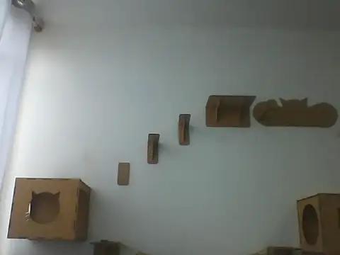 Temp7 online show from March 8, 11:36 am