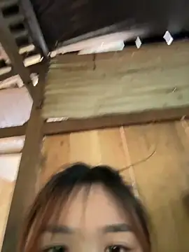 Spring-spring online show from November 24, 5:40 am