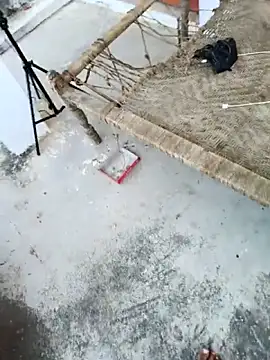 Snapshot of apka_rockstarr chatting on November 27, 9:11 am apka rockstarr online show from November 27, 9:11 am