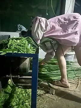 nangmo online show from March 7, 12:02 pm