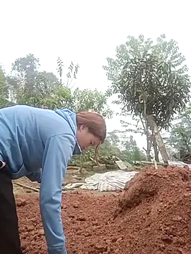 nangmo online show from March 12, 7:47 am